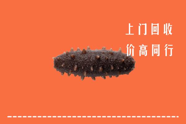 高价求购：邵武市回收海参