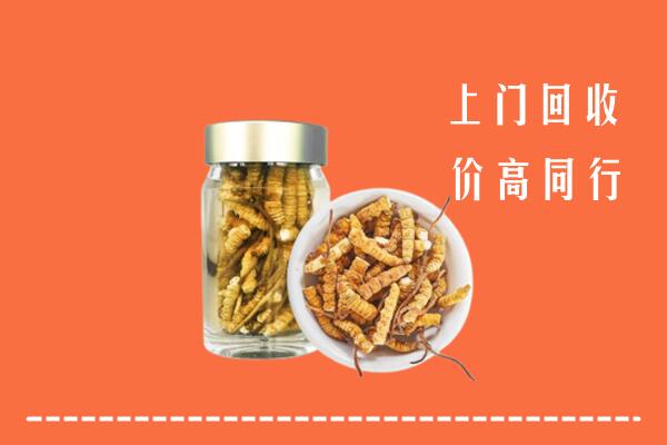 邵武市回收冬虫夏草