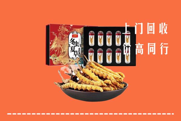 邵武市回收虫草